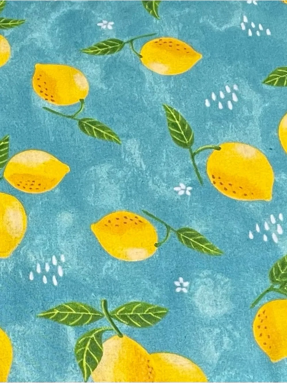 Lemon Theme Apron Set